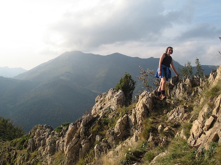 Rose on a ridge