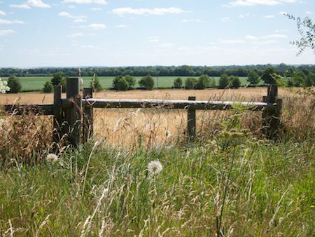 From Foxton Wood