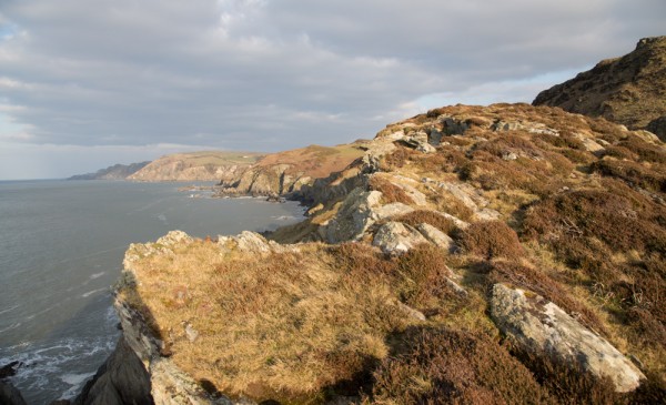 View from Bull Point