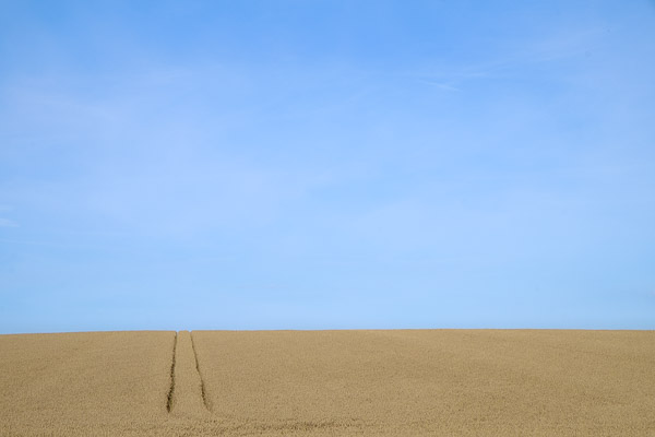 20140824-08395512-600
