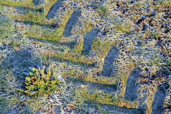 2014-12-29_09-49-50-04