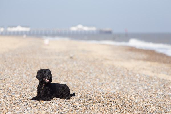 20140405-14153197-600