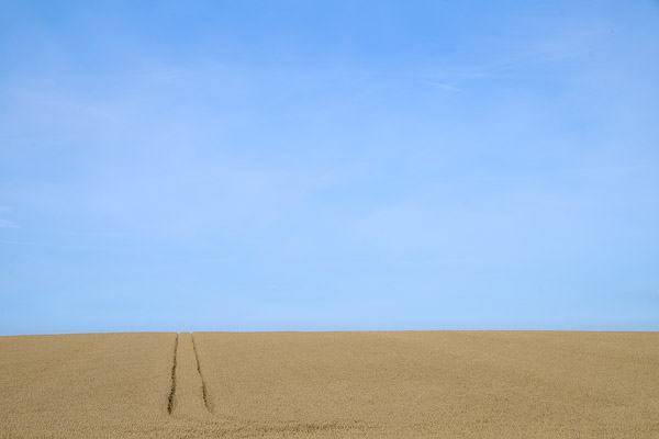 20140824-08395512-600