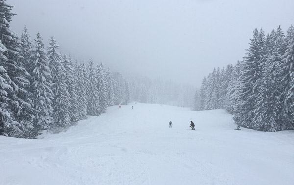 2015-02-01_12-59-06-27-600