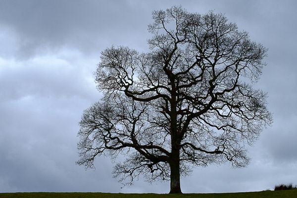 2015-03-27_13-30-18-14-600