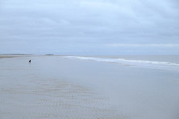 2015-04-04_12-13-01-18-600