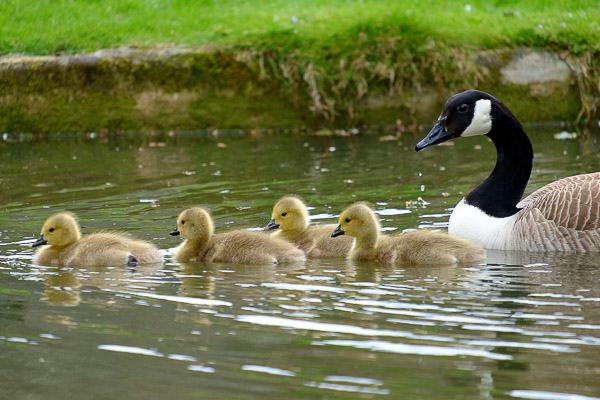 2015-05-18_13-21-09-28-600