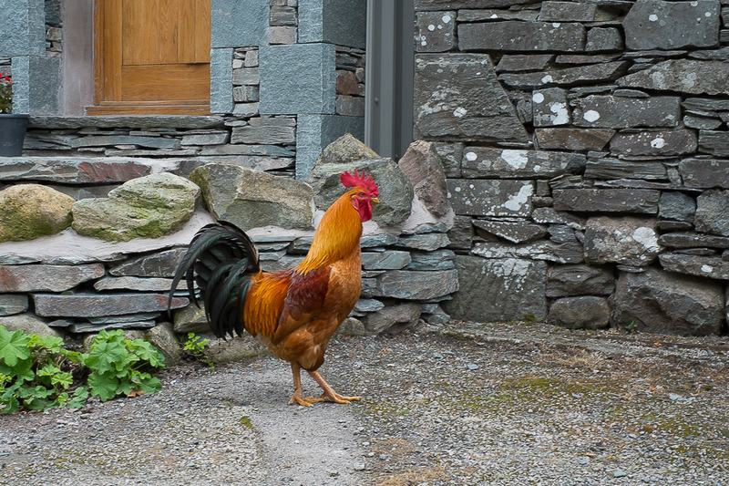 2015-08-11_13-22-14-08-900