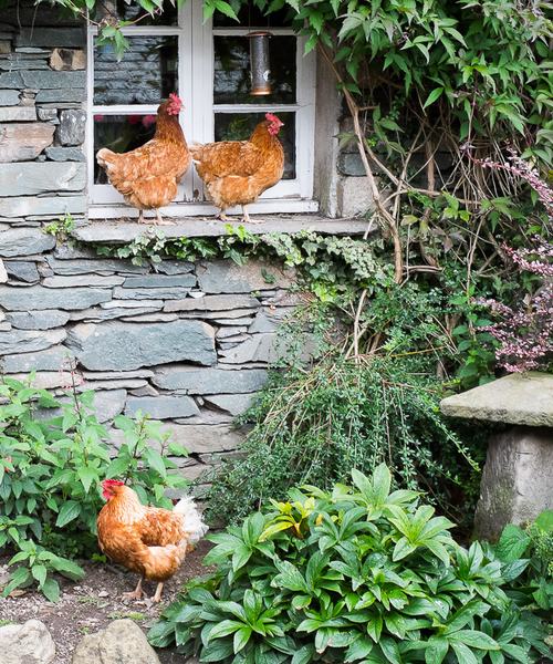 2015-08-11_13-22-49-10-900