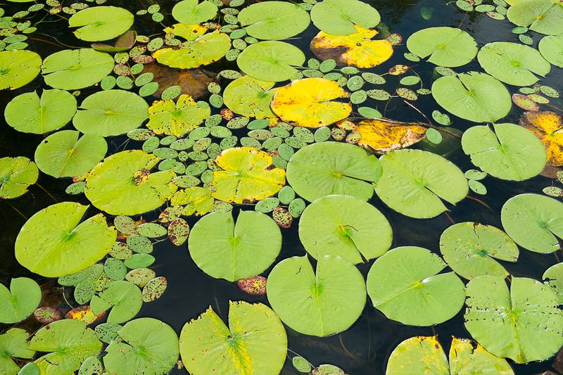 2015-08-23_16-53-43-09-900