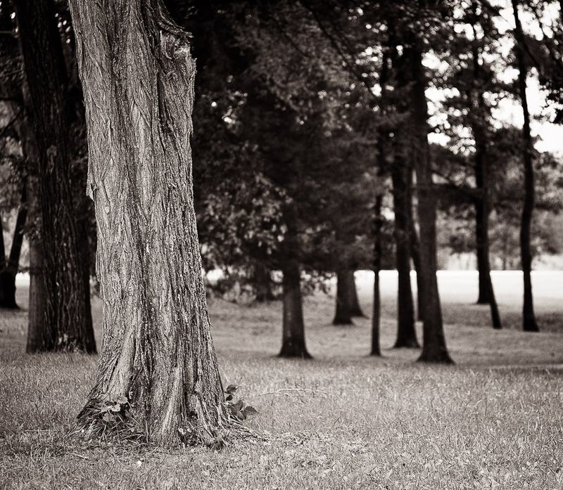 2015-08-23_20-18-42-21-Edit-900