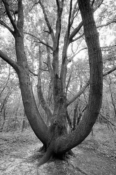 2015-08-27_20-44-22-07-Edit-600