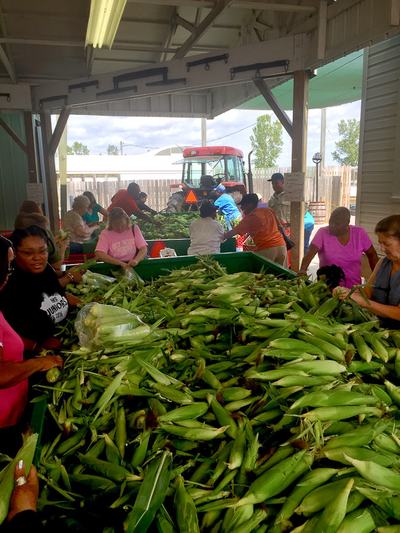 20150828-13265699-900