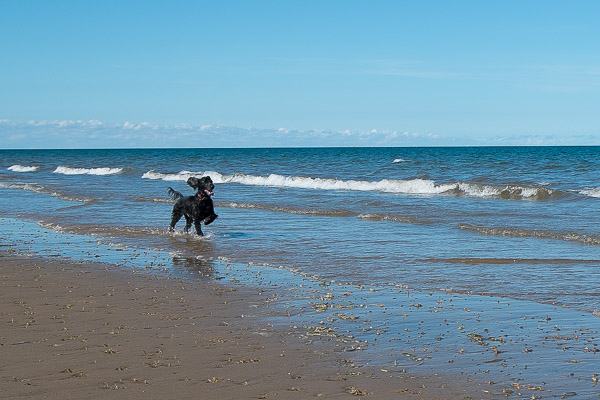 20150927-12482709-600