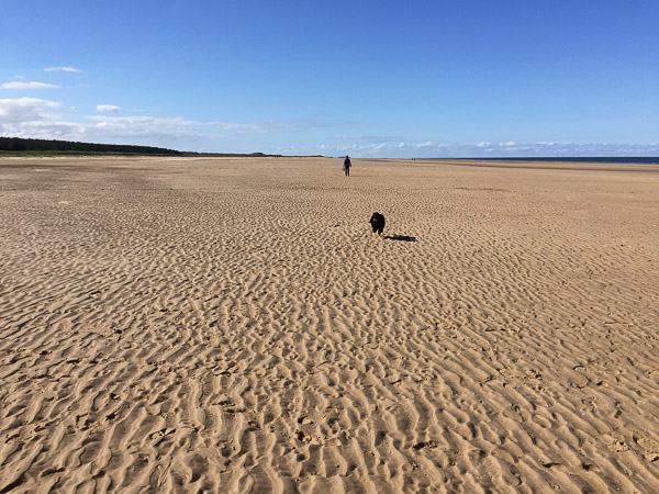 20150927-132900109-600