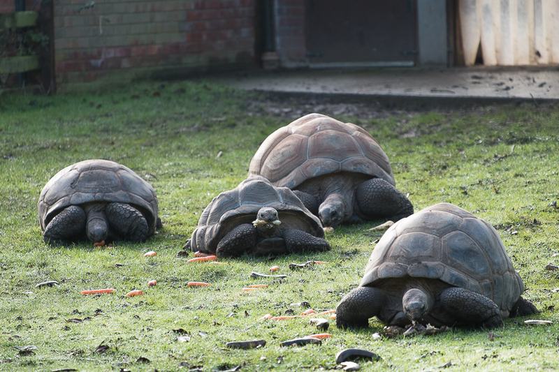 20160123-11123819-900