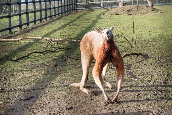 20160123-11221924-600