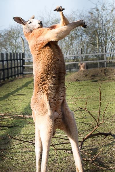 20160123-11222501-600