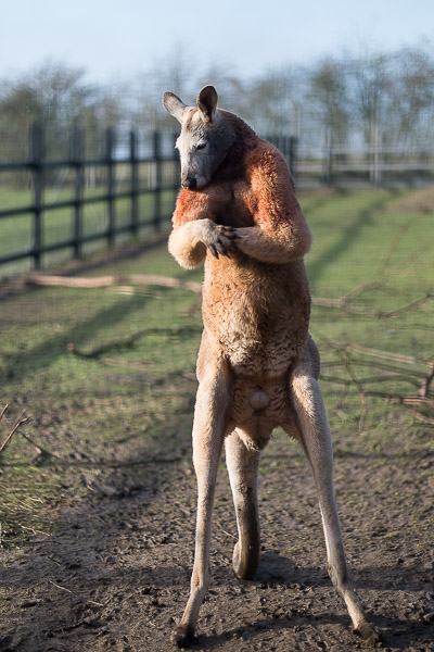 20160123-11250525-600