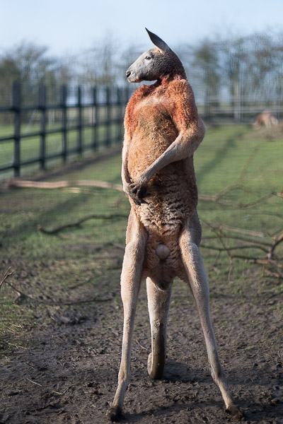 20160123-11251403-600