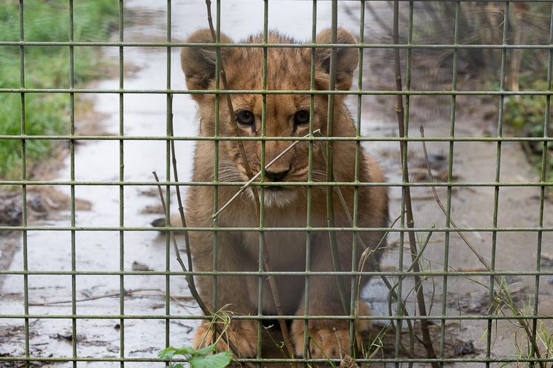 20160123-13195604-900