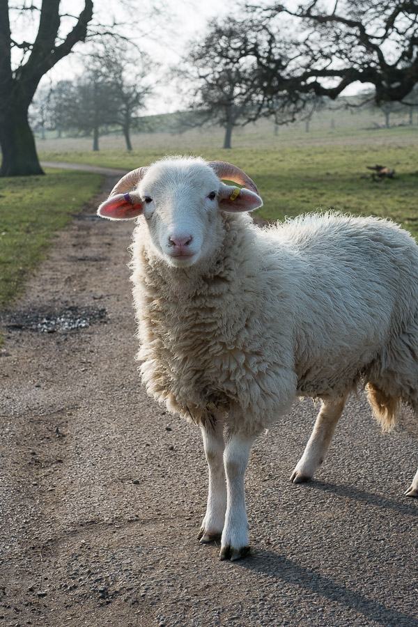 20160311-15192711-900