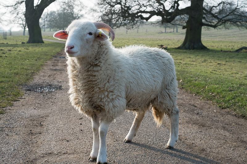 20160311-15194013-900