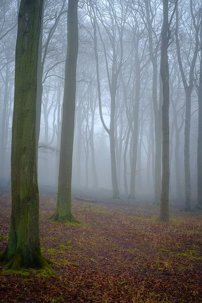 20160313-09035701-900