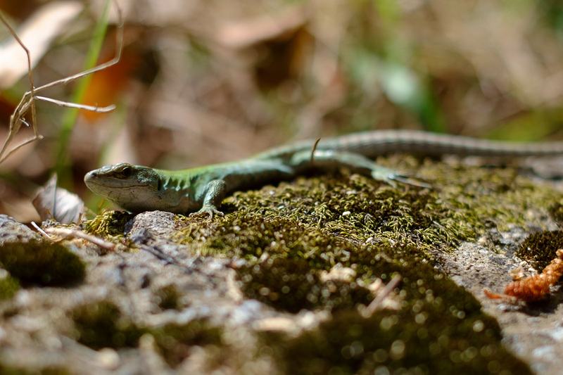 20160410-13052541-900