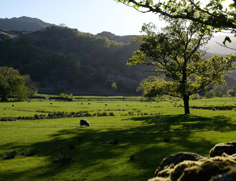 20160514-17544780-900