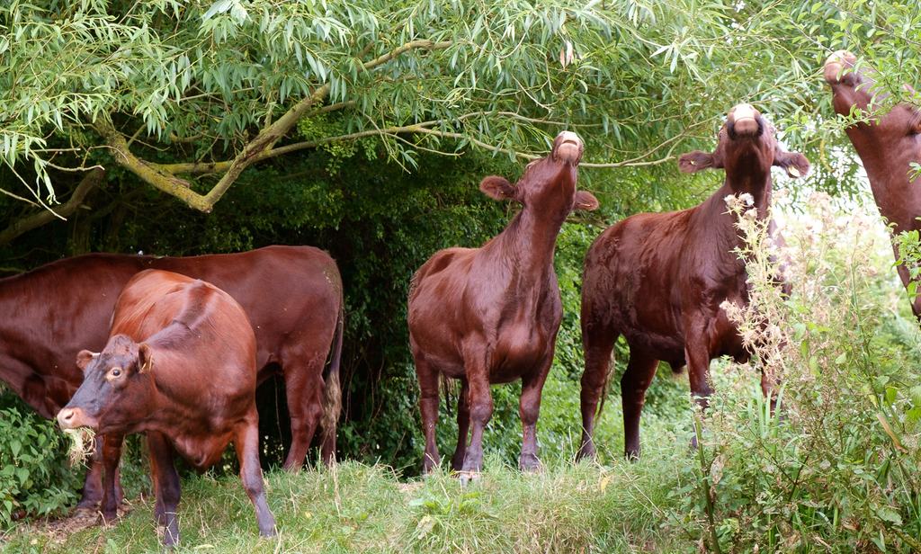 20160820-07570304-900