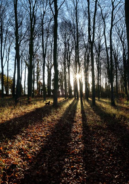 20161125-09303716-900