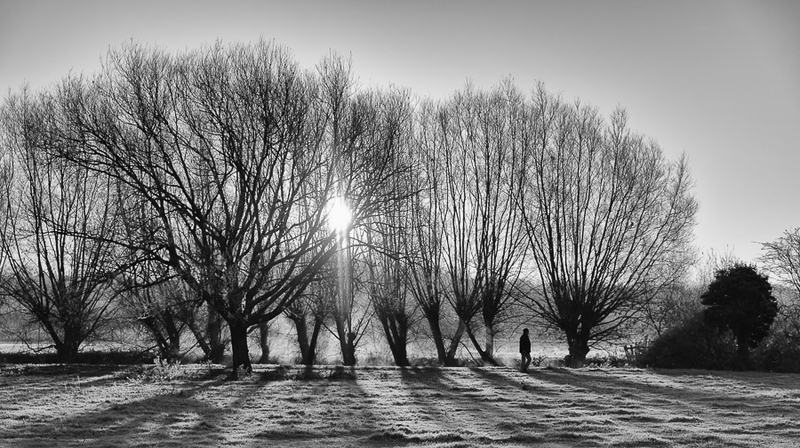 Walking in the light