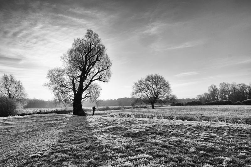 20161130-08173920-edit-2-900