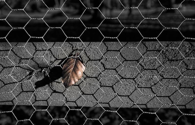 20161204-12332893-edit-900