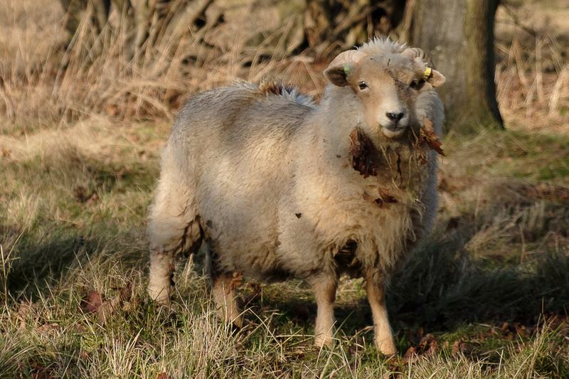 20161226-10244660-900