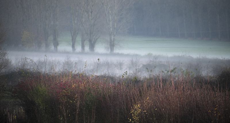 Barton Road Rifle Range