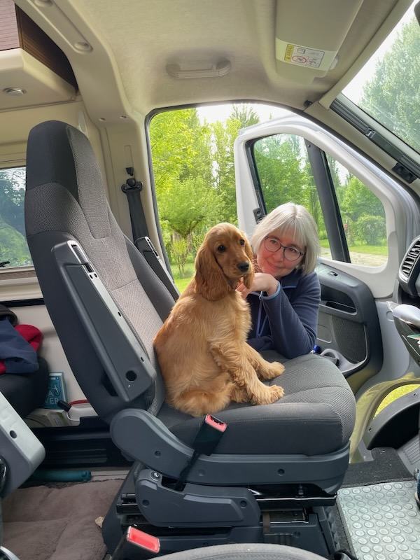 Betsy on the van seat